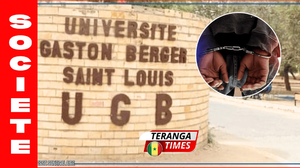 De l’amphi au trafic : Un étudiant de l’UGB arrêté avec 3 kg de chanvre indien De l’amphi au trafic : Un étudiant de l’UGB arrêté avec 3 kg de chanvre indien