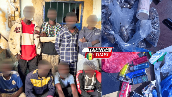 Ross Béthio: Coup de filet de la gendarmerie, une bande de 8 malfaiteurs démantelée Ross Béthio: Coup de filet de la gendarmerie, une bande de 8 malfaiteurs démantelée