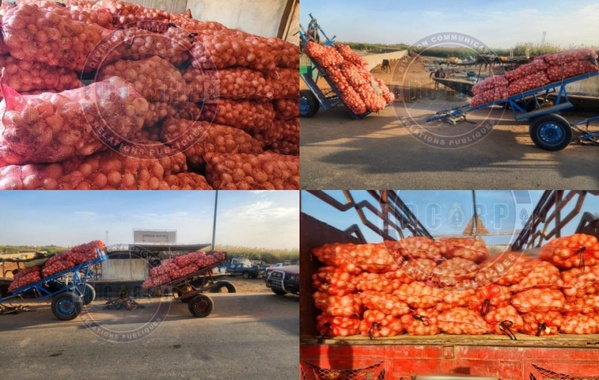 Trafic illicite de produits agricoles vers la Mauritanie: 11 individus arrêtés, 365 sacs saisis