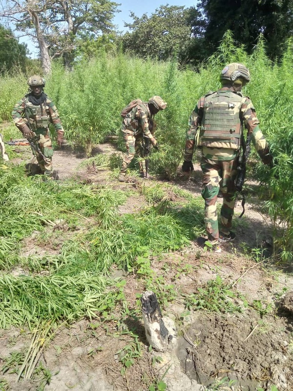 SÉCURITÉ : Un militaire tombe lors d'une opération anti-drogue en Zone 5 (Casamance)
