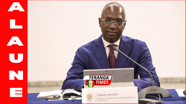 AGRICULTURE: Un audit révèle une surfacturation allant jusqu’à 15 milliards FCFA sur des équipements agricoles AGRICULTURE: Un audit révèle une surfacturation allant jusqu’à 15 milliards FCFA sur des équipements agricoles