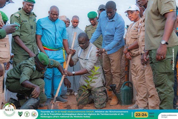 Tambacounda : le ministre de l’Environnement en tournée pour renforcer la protection des écosystèmes Tambacounda : le ministre de l’Environnement en tournée pour renforcer la protection des écosystèmes