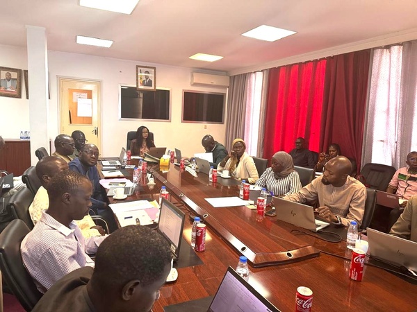 Étiquetage énergétique: le Sénégal accélère vers une consommation électrique plus maîtrisée