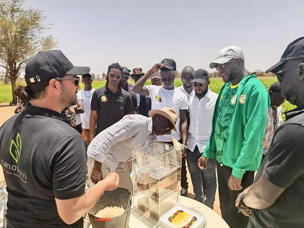 Agriculture : El Malick Ndiaye appelle à une mobilisation pour la souveraineté alimentaire Agriculture : El Malick Ndiaye appelle à une mobilisation pour la souveraineté alimentaire