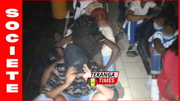 Ouakam : la gendarmerie interrompt une soirée illégale, huit personnes interpellées Ouakam : la gendarmerie interrompt une soirée illégale, huit personnes interpellées