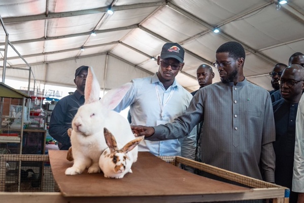 SIARA 2026 : Le Président Bassirou Diomaye Faye prône la souveraineté par le secteur primaire SIARA 2026 : Le Président Bassirou Diomaye Faye prône la souveraineté par le secteur primaire