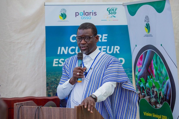 Golf Sud: Lancement de l’incubateur d’Économie Sociale et Solidaire pour booster l’entrepreneuriat local