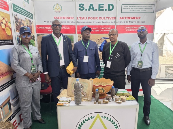 Vallée du Fleuve Sénégal: La SAED s'engage pour l'institutionnalisation de l'agroécologie à la JAES 2026 Vallée du Fleuve Sénégal: La SAED s'engage pour l'institutionnalisation de l'agroécologie à la JAES 2026