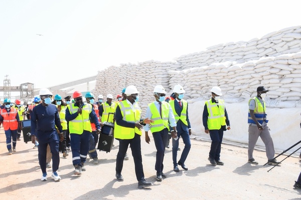 Campagne hivernale 2026: Le Sénégal sanctuarise sa souveraineté agricole avec un stock record d'intrants Campagne hivernale 2026: Le Sénégal sanctuarise sa souveraineté agricole avec un stock record d'intrants