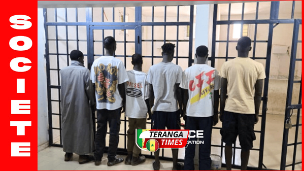 Trafic entre le Sénégal et la Gambie : Fin de cavale pour les voleurs de motos de Nioro Trafic entre le Sénégal et la Gambie : Fin de cavale pour les voleurs de motos de Nioro