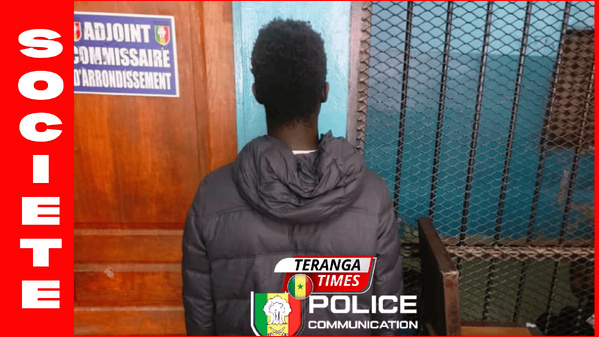 Vol de bétail à Grand Yoff: Il escalade une terrasse pour un mouton de 300 000 FCFA et finit sous les verrous Vol de bétail à Grand Yoff: Il escalade une terrasse pour un mouton de 300 000 FCFA et finit sous les verrous