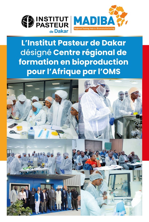 Santé : L’Institut Pasteur de Dakar désigné Centre régional de formation en bioproduction par l’OMS Santé : L’Institut Pasteur de Dakar désigné Centre régional de formation en bioproduction par l’OMS
