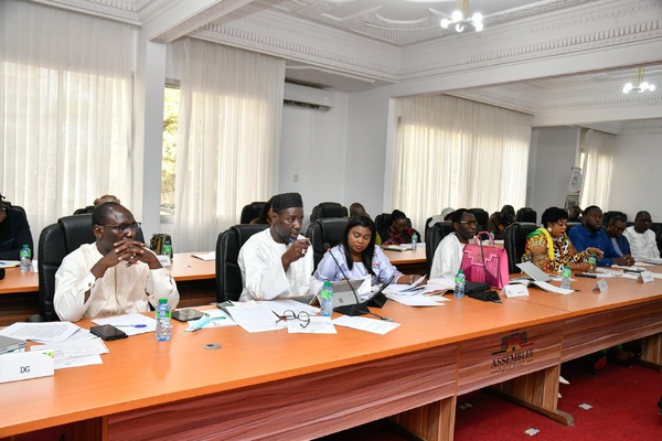 Assemblée nationale: bilan d’exécution budgétaire du ministère de la Microfinance jugé “dynamique mais encore perfectible” Assemblée nationale: bilan d’exécution budgétaire du ministère de la Microfinance jugé “dynamique mais encore perfectible”