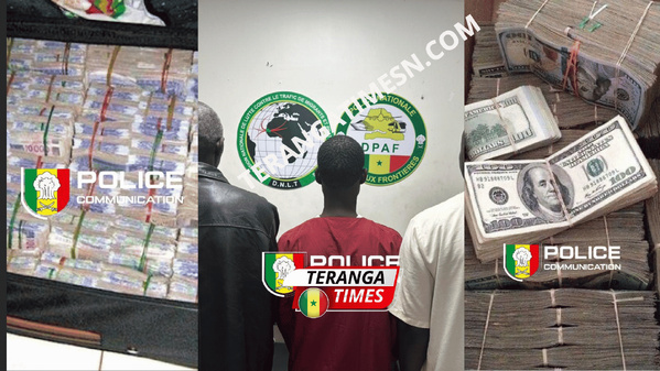 COUP DE FILET: La DNLT démantèle un réseau d'escrocs au visa et de faux monnayeurs à Dakar COUP DE FILET: La DNLT démantèle un réseau d'escrocs au visa et de faux monnayeurs à Dakar