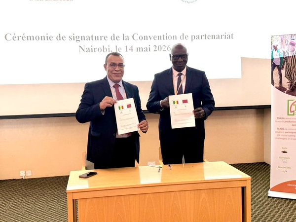 Sénégal–Maroc: l’USSEIN et l’ENA de Meknès scellent un partenariat stratégique en agriculture Sénégal–Maroc: l’USSEIN et l’ENA de Meknès scellent un partenariat stratégique en agriculture