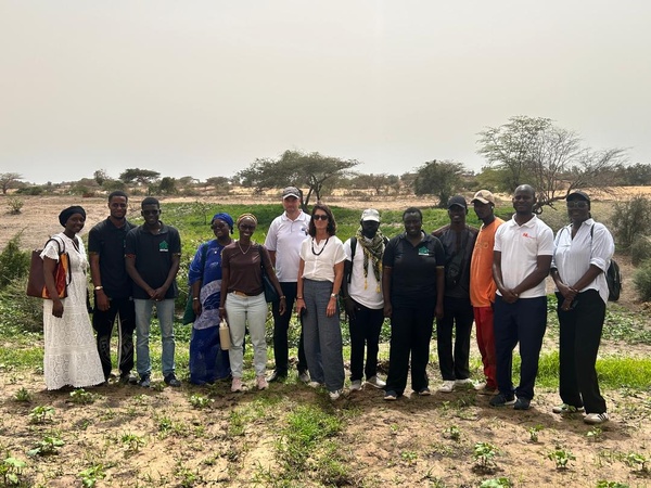 Entrepreneuriat et Innovation Agricole : l’Ambassade des Pays-Bas au cœur des solutions durables à Louga et Lompoul