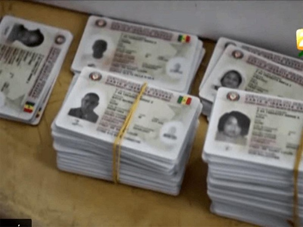 Élections & Citoyenneté : Processus électoral au Sénégal : La DGE annonce la disponibilité des cartes d’électeur de la révision 2025