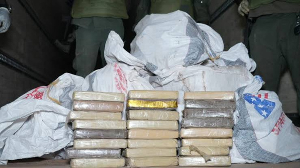 Sécurité : La gendarmerie saisit 92 kilogrammes de cocaïne à Dakar et arrête un convoyeur Sécurité : La gendarmerie saisit 92 kilogrammes de cocaïne à Dakar et arrête un convoyeur