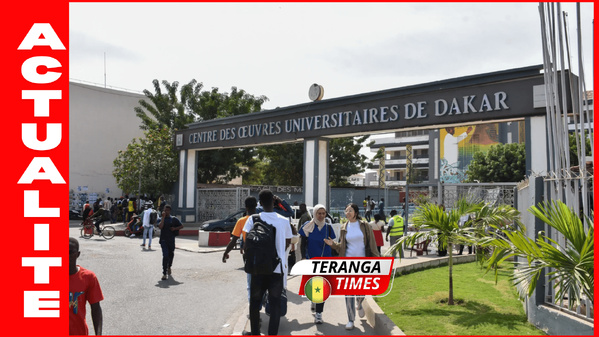 UCAD : le Collectif des Amicales annonce la reprise de son plan d’action à partir du 15 juin 2026