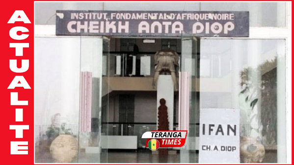 UCAD : L’IFAN numérise et restitue le trésor documentaire de Lilyan Kesteloot sur les traditions orales africaines UCAD : L’IFAN numérise et restitue le trésor documentaire de Lilyan Kesteloot sur les traditions orales africaines