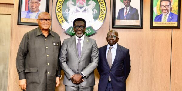 Nigeria : La NAICOM rend African Alliance Insurance à ses actionnaires après un redressement réussi