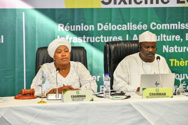 Électrification rurale: Le Parlement de la CEDEAO clôture sa réunion à Dakar avec des décisions fortes