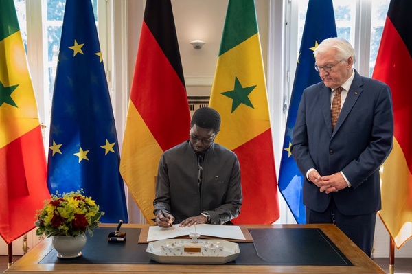 Sénégal - Allemagne : Le Président Bassirou Diomaye Faye clôture sa visite officielle par un entretien au sommet avec Frank-Walter Steinmeier