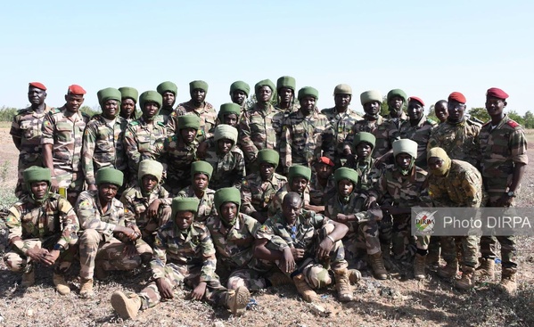 Mali : le 33ᵉ RCP intensifie ses entraînements aéroportés pour renforcer ses capacités opérationnelles