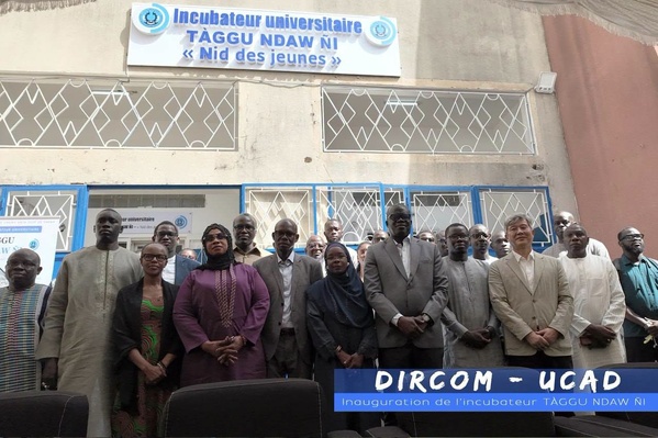Entrepreneuriat étudiant: L’UCAD inaugure Taggu Ndaw Ni, le nouvel incubateur pour transformer les projets des jeunes Entrepreneuriat étudiant: L’UCAD inaugure Taggu Ndaw Ni, le nouvel incubateur pour transformer les projets des jeunes