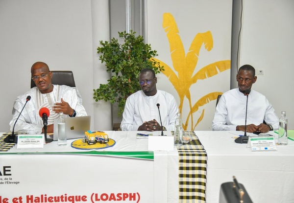 Saly: Les députés planchent sur le nouveau projet de loi d'orientation agro-sylvo-pastorale et halieutique (LOASPH) Saly: Les députés planchent sur le nouveau projet de loi d'orientation agro-sylvo-pastorale et halieutique (LOASPH)