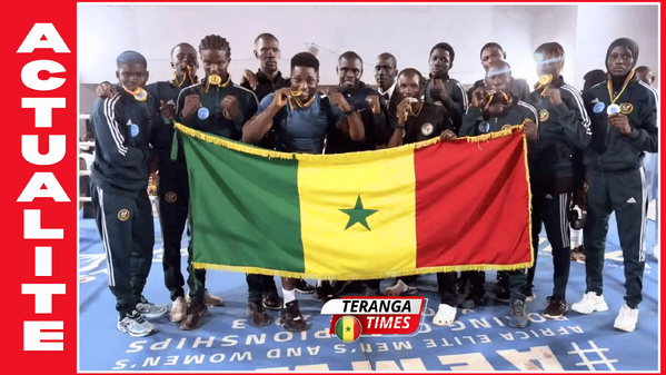 Kickboxing : le Sénégal réalise un sans-faute aux Championnats d'Afrique à Yaoundé Kickboxing : le Sénégal réalise un sans-faute aux Championnats d'Afrique à Yaoundé