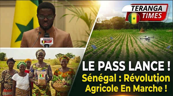 Lancement du PASS au Sénégal : L'État mobilise 150 milliards FCFA pour transformer l'agriculture
