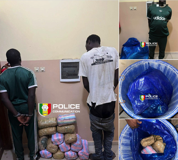Kaolack : Infiltration, perquisition et coup de filet majeur de la BRS avec 15 kg de chanvre indien saisis