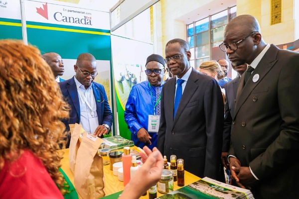 Sénégal 2050: Le Premier ministre Ahmadou Al Aminou Lô lance la 2e édition du FORA'ESS à Dakar