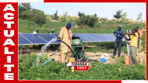 Transition énergétique : L'ANER prévoit 13 milliards de FCFA d’économies annuelles grâce au pompage solaire rural Transition énergétique : L'ANER prévoit 13 milliards de FCFA d’économies annuelles grâce au pompage solaire rural