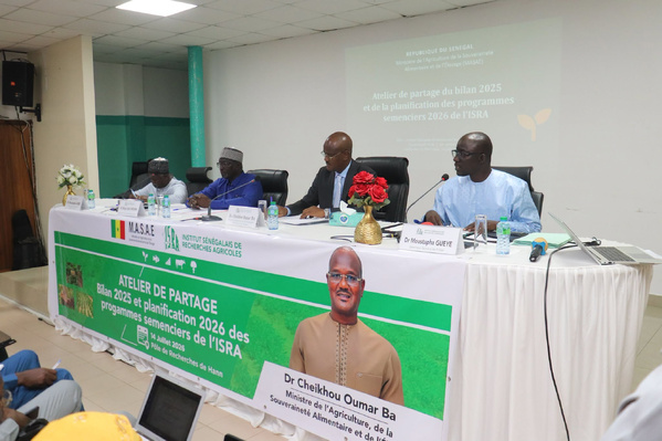 Sénégal : L'ISRA réunit les acteurs de l'agriculture pour structurer la campagne semencière 2026 Sénégal : L'ISRA réunit les acteurs de l'agriculture pour structurer la campagne semencière 2026