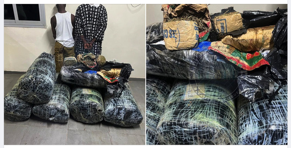 Thiaroye-sur-Mer: Plus de 300 kg de chanvre indien saisis, deux trafiquants interpellés par la Gendarmerie