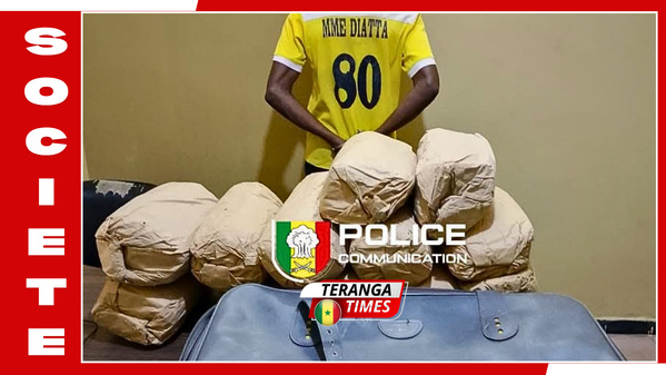 Ziguinchor : La Sûreté urbaine frappe un grand coup, un trafiquant interpellé avec 12 kg de chanvre indien près de Boutoute Ziguinchor : La Sûreté urbaine frappe un grand coup, un trafiquant interpellé avec 12 kg de chanvre indien près de Boutoute