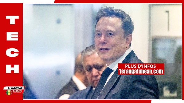 Elon Musk perd près de la moitié de sa fortune en six semaines
