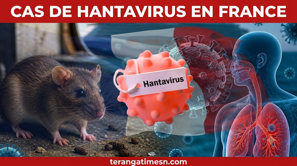 Santé: Un cas de hantavirus détecté chez un touriste ayant transité par la France et désormais isolé en Espagne Santé: Un cas de hantavirus détecté chez un touriste ayant transité par la France et désormais isolé en Espagne