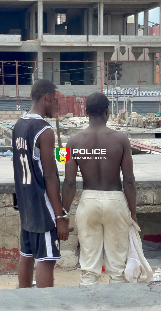 Médina : 13 képas de Kush et une machette saisis lors d’une opération policière