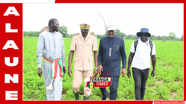 Tournée agricole 2026: Le ministre Dr Cheikhou Oumar Ba évalue la campagne dans la région de Sédhiou