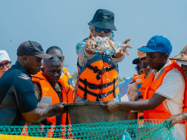 Aquaculture: La ministre Amy Mara Dièye lance une vaste opération d’empoissonnement à Gaya Aquaculture: La ministre Amy Mara Dièye lance une vaste opération d’empoissonnement à Gaya