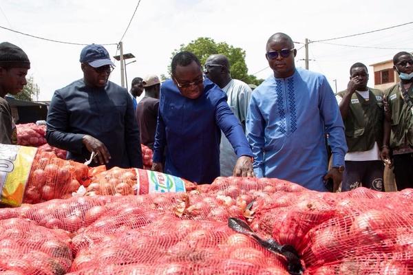Tivaouane / Gamou 2026 : Le ministre Serigne Guèye Diop veille à l'approvisionnement des marchés et au respect des prix