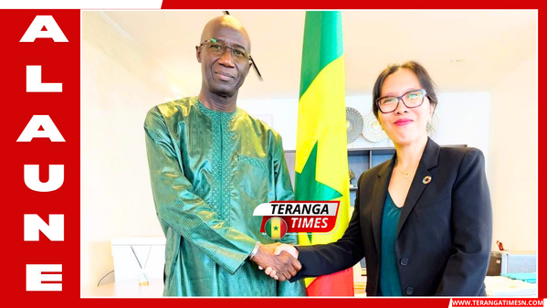 Me Moussa SARR et le PNUD renforcent leur coopération autour de la transformation numérique