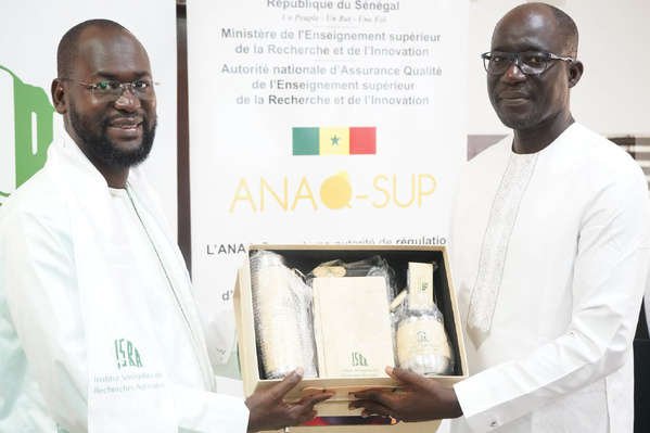 Assurance qualité et recherche: L’ANAQ-Sup en visite de travail à l’ISRA
