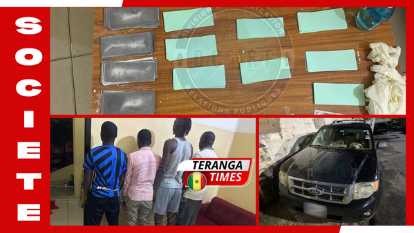 Faux billets au Sénégal : La Brigade de Recherches saisit 47,7 millions de FCFA à Toubab Dialaw Faux billets au Sénégal : La Brigade de Recherches saisit 47,7 millions de FCFA à Toubab Dialaw