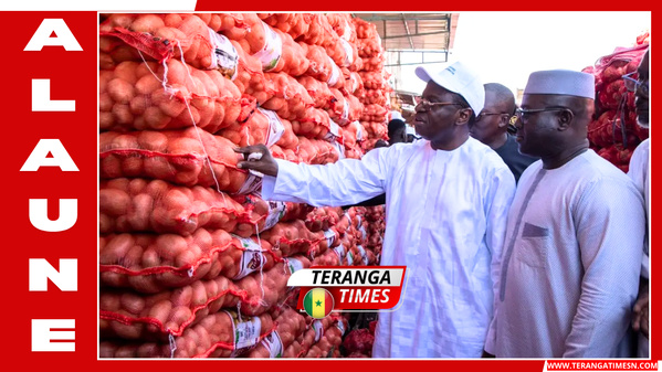 Marché de l'oignon au Sénégal: Le gouvernement lève le gel des importations pour stabiliser les prix Marché de l'oignon au Sénégal: Le gouvernement lève le gel des importations pour stabiliser les prix