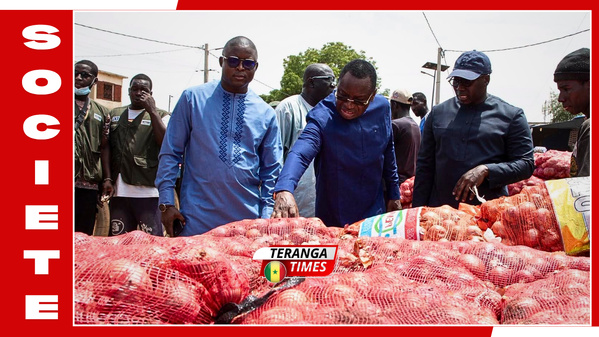 Sénégal: le gouvernement lève le gel des importations d’oignons