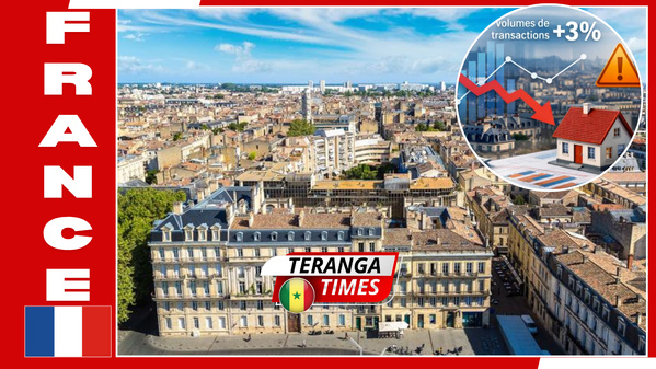 Marché Immobilier en France : Entre Baisse des Taux et Nouvelles Stratégies d'Acquisition